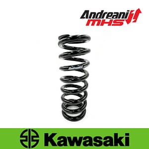 Amortiguador de moto Andreani para Kawasaki